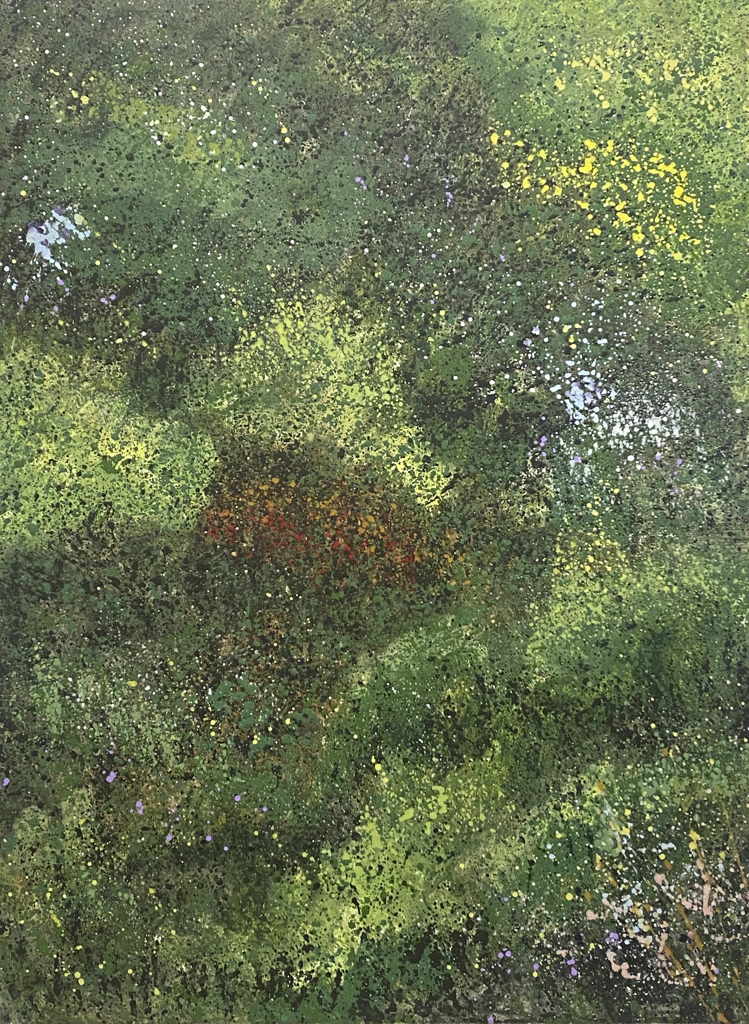 Acrilico su tela 

80 x 60 cm